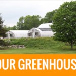 ourgreenhouse